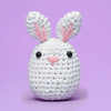 Bunny Crochet Kit